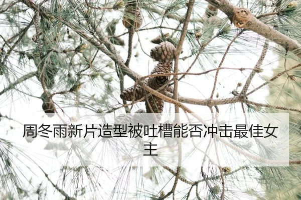 zhou-dong-yu-xin-pian-zao-xing-bei-tu-cao-neng-fou-chong-ji-zui-jia-nv-zhu-2-419.jpg